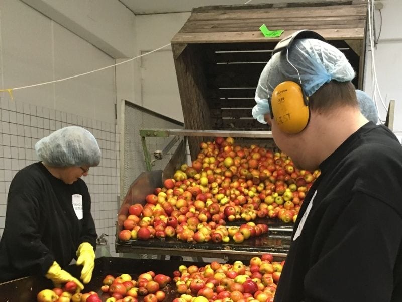 apple BM KAYnBEE