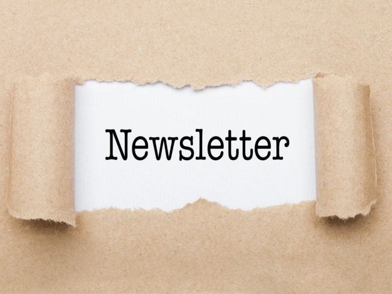 newsletter KAYnBEE